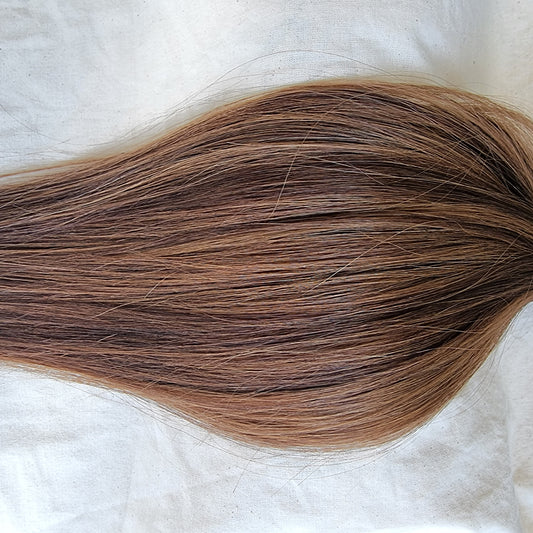 Penelope 100g